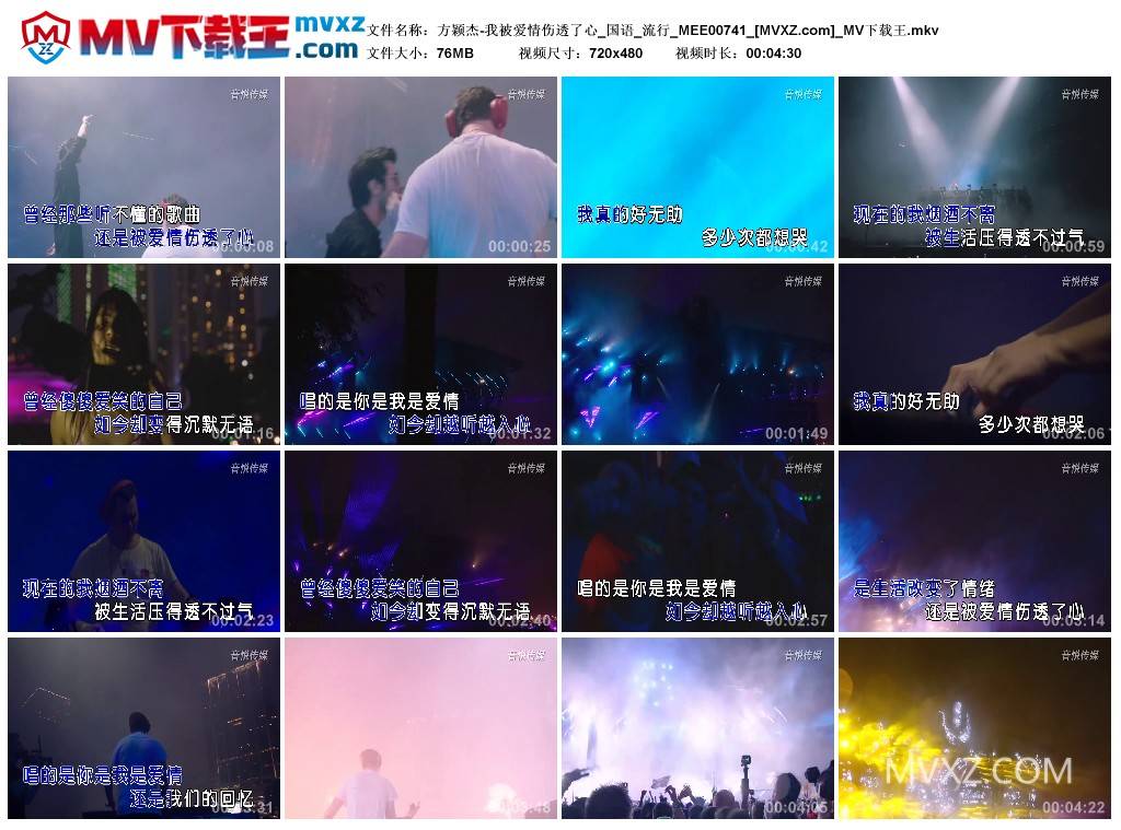 方颖杰-我被爱情伤透了心_国语_流行_MEE00741